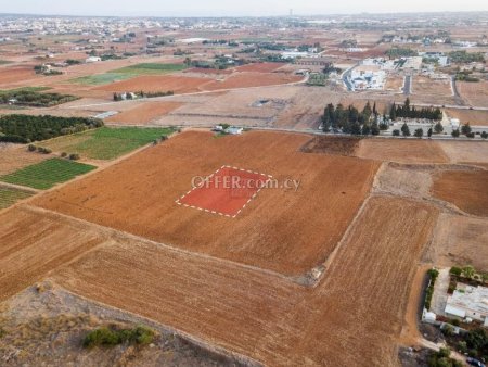 Residential Field in Frenaros - 2