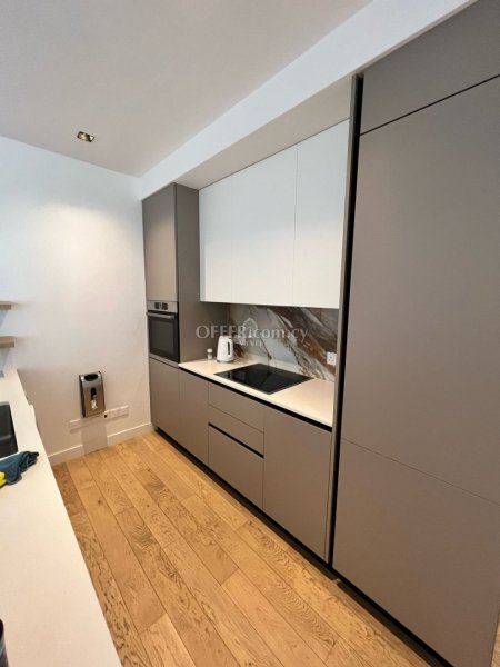 THREE BEDROOM FULLY FURNISHED APARTMENT IN PANTHEA - 5