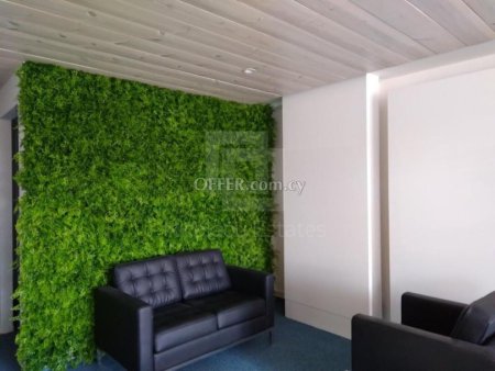 Modern Office Ayios Nicolaos Limassol Cyprus - 3