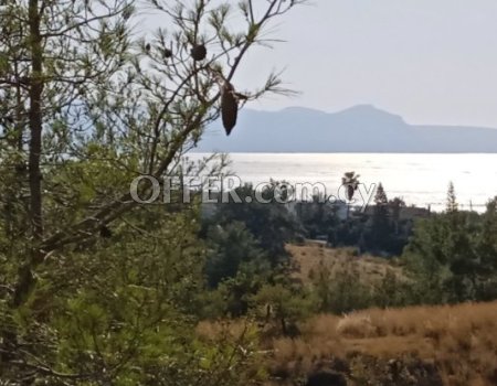 Residential land 8188 m² - 3