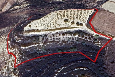Agricultural Land For Sale in Kathikas, Paphos - DP4584 - 3