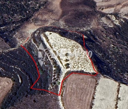 Agricultural Land For Sale in Kathikas, Paphos - DP4584 - 2