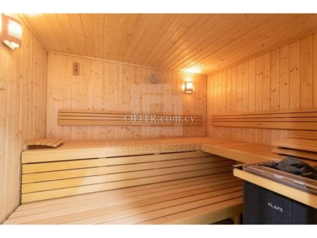 Luxury large four bedroom apartment in Potamos Germasogeia tourist area - 6
