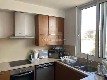 Duplex Three Bedroom Fully Furnished Apartment for Rent in Agioi Omologites Nicosia - 4