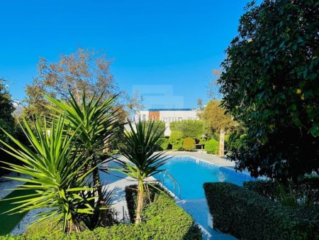 Four Bedroom villa with pool for sale in Chloraka area of Paphos - 4