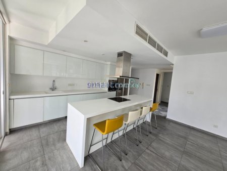 3 Bedroom Apartment For Rent Limassol - 11