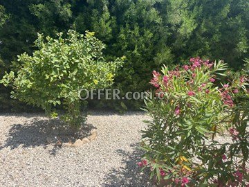 3 Bedroom Villa With Pool, Sea Views & Spacious Outdoor Areas  In Emba - 6