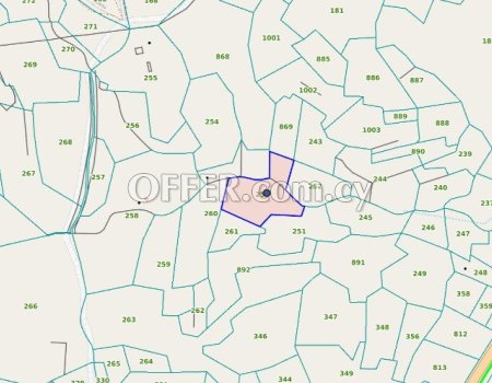 Agricultural land in Kalo Chorio is now available for Sale. - 3