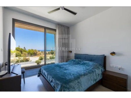 Four bedroom villa for sale in Chloraka area of Paphos - 10