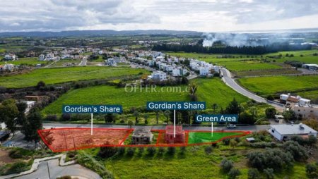Shared residential field in Timi Paphos - 4