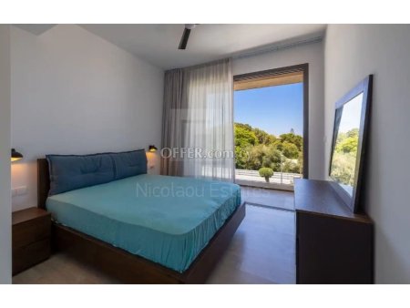 Four bedroom villa for sale in Chloraka area of Paphos - 7