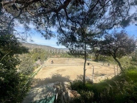 Field for sale in Parekklisia, Limassol - 7