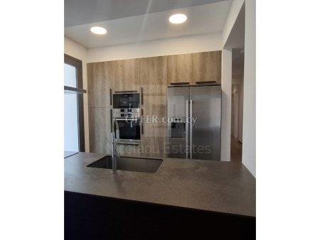 Massive four bedroom Penthouse for sale near the Engomi Embassies - 10