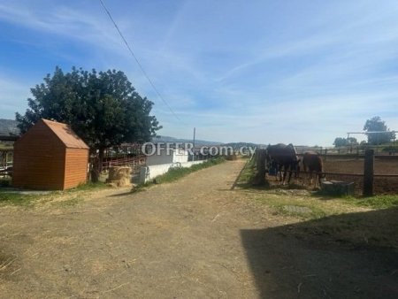 Field for sale in Parekklisia, Limassol - 6