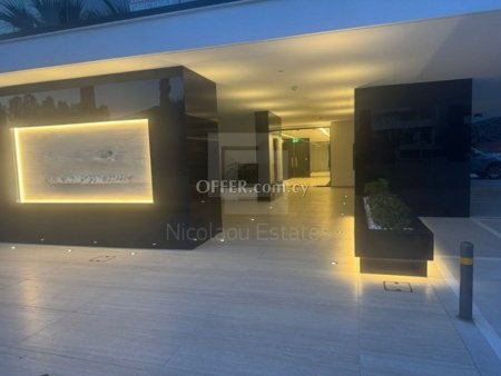 New modern two bedroom apartment for rent in Engomi walking distance to US and Russian Embassies - 9