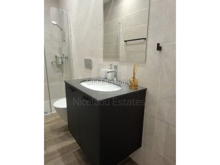 Massive four bedroom Penthouse for sale near the Engomi Embassies - 9