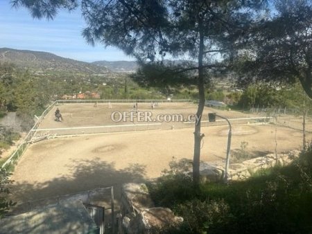 Field for sale in Parekklisia, Limassol - 5