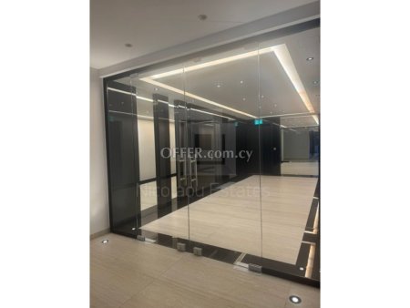 New modern two bedroom apartment for rent in Engomi walking distance to US and Russian Embassies - 8