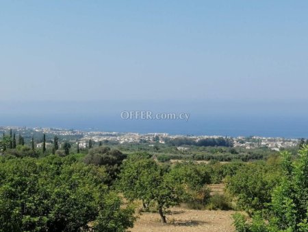 3 Bed Detached House for sale in Tala, Paphos - 8