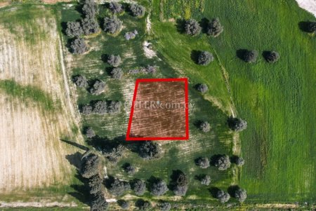 Field for Sale in Kalo Chorio, Larnaca - 6