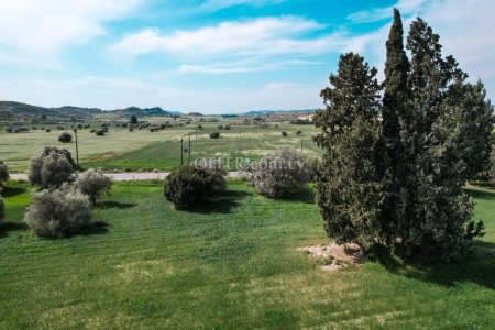 Field for Sale in Kalo Chorio, Larnaca - 5