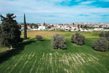 Field for Sale in Kalo Chorio, Larnaca - 4