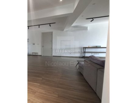 Massive four bedroom Penthouse for sale near the Engomi Embassies - 5