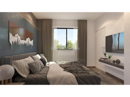 Luxury two bedroom Penthouse with roof garden in Drosia near Salt Lake - 4