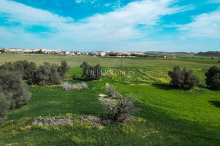 Field for Sale in Kalo Chorio, Larnaca - 3