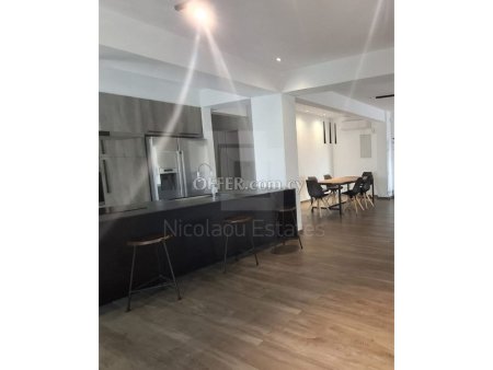 Massive four bedroom Penthouse for sale near the Engomi Embassies - 4