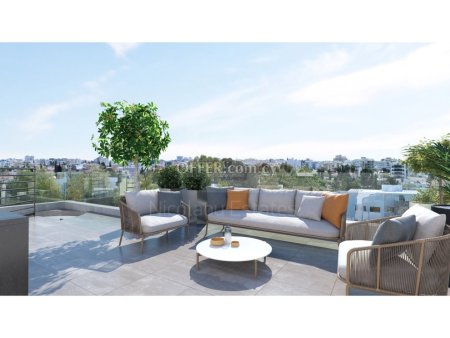 Luxury two bedroom Penthouse with roof garden in Drosia near Salt Lake - 3