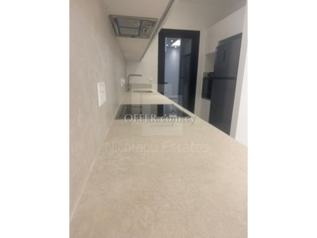 New modern two bedroom apartment for rent in Engomi walking distance to US and Russian Embassies - 3
