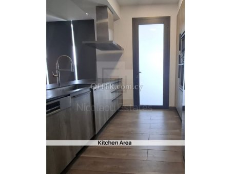 Massive four bedroom Penthouse for sale near the Engomi Embassies - 3