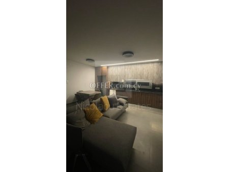 Brand new two bedroom house for rent in Parekklisia - 2