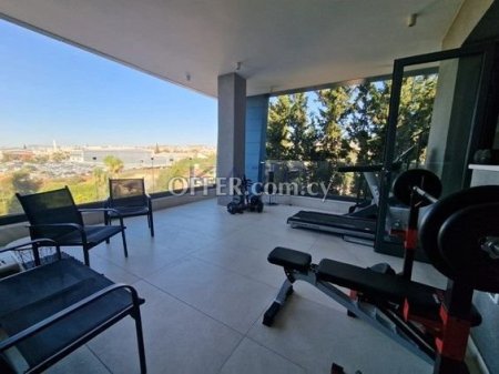 Stylish Penthouse Apartment with Elevator in Columbia - 4