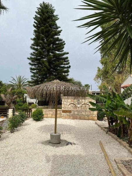 1 Bed Bungalow for rent in Anarita, Paphos - 11