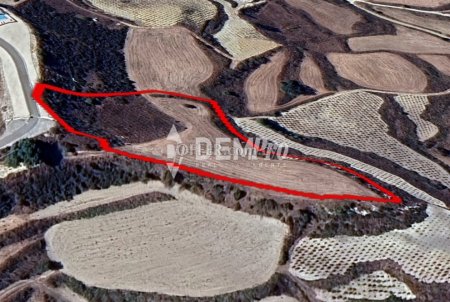 Agricultural Land For Sale in Stroumbi, Paphos - DP4757 - 2