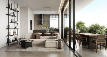 TWO BEDROOM PENTHOUSE  APARTMENT IN KATHOLIKI WITH ROOF GARDEN - 8