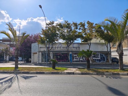 Large Mix-Used Plot for Sale in Katholiki Center - 4