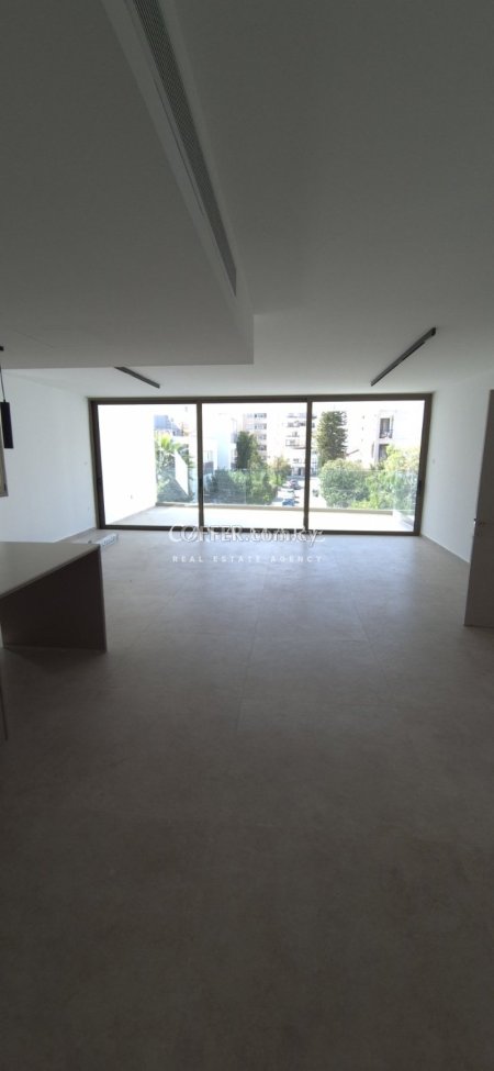 Luxury 3 Bedroom Apartment in Agios Andreas, Nicosia - 7