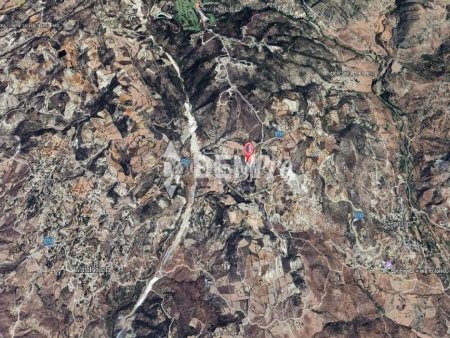 Agricultural Land For Sale in Armou, Paphos - DP4750 - 3
