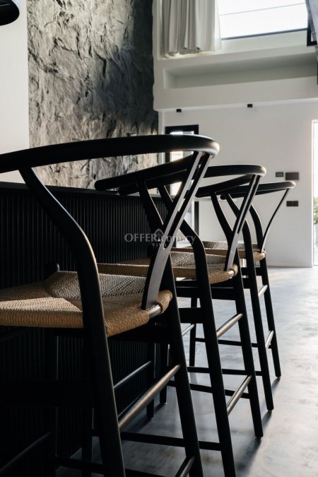 MODERN GROUND FLOOR APARTMENT IN AGIA ZONI - 9