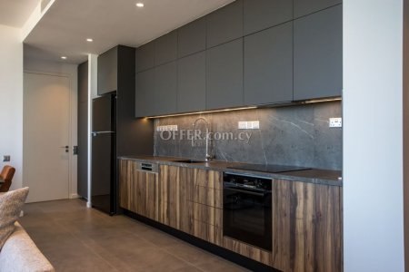 Luxury Three Bedroom Apartment in Heart of Protaras - 4