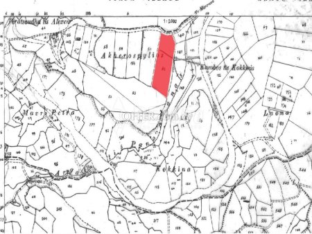 Agricultural Land For Sale in Armou, Paphos - DP4750 - 2