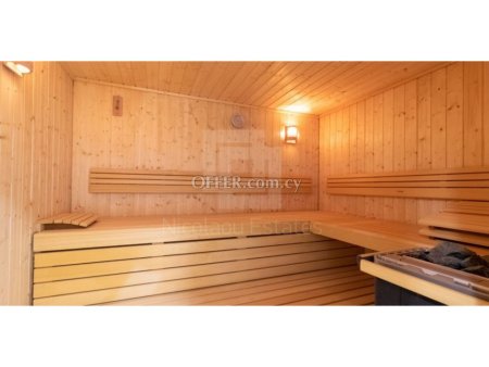Excellent spacious 3 bedroom penthouse in Potamos Germasogeias - 5