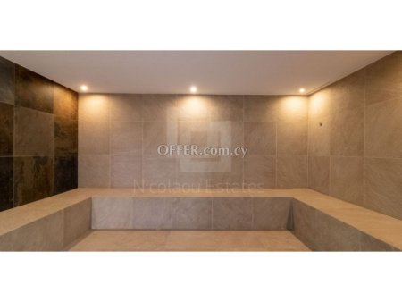 Excellent spacious 3 bedroom penthouse in Potamos Germasogeias - 4