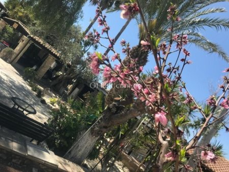 1 Bed Bungalow for rent in Anarita, Paphos - 5