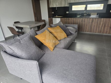 Brand new two bedroom house for rent in Parekklisia - 4