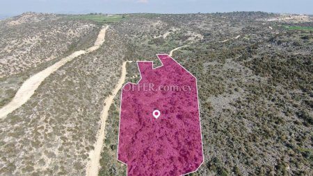 Agricultural field in Psematismenos Larnaca - 4