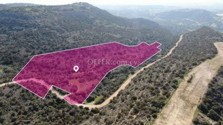 Agricultural field in Psematismenos Larnaca - 3